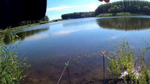 Чумовая СНАСТЬ для ловли ТОЛСТОЛОБА!!! Убийца Толстолоба отдыхает))...