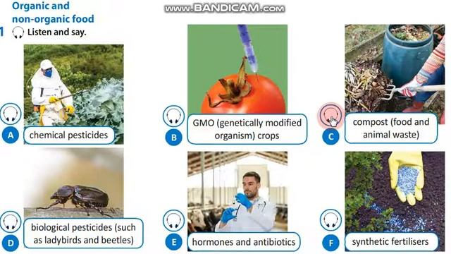 Action 10 Module 4 Organic and non-organic food vocabulary смотреть онлайн