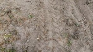 Как посадить картофель и закрыть борозды, только с окучником.