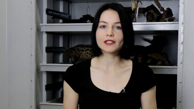 Выбираем самое милое животное 2021 года. Часть 1 Лиза Гальперина смотреть онлайн