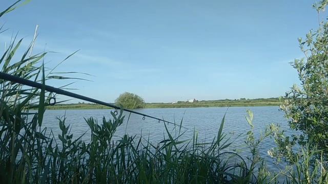 Рыбалка на карася на фидер! смотреть онлайн