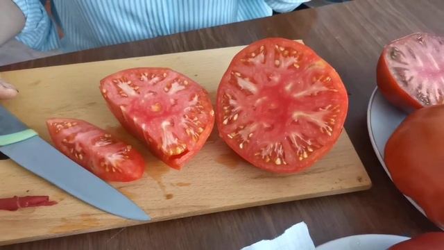 Лучшие сорта томатов для открытого грунта. Сорт "Приз Ханны". Супер тонкокорый томат. смотреть онлайн