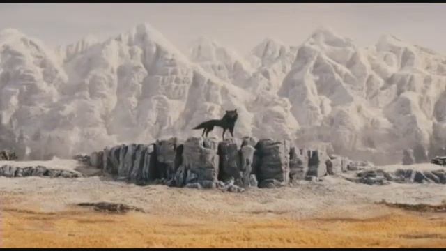Canis Lupus - Vulpes Vulpes смотреть онлайн