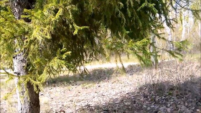 Троицк Парк Грэс смотреть онлайн