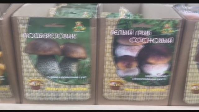 АШАН. Обзор Садово-огородного отдела. Цветы. Посадочный материал. смотреть онлайн