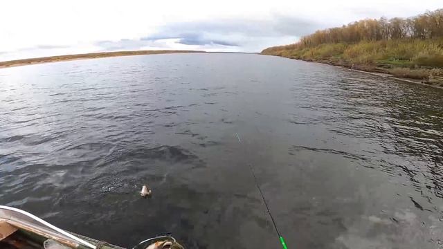 Бешеный клев!!! Щука, налим и огромный окунь! Рыбалка мечта!!! смотреть онлайн