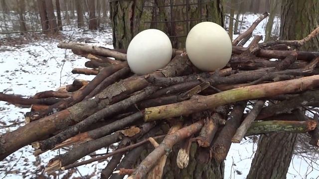 Прикол. смотреть онлайн