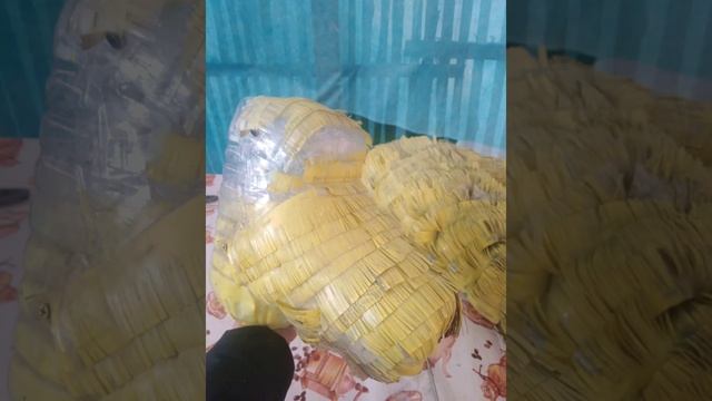 Мастер класс "Лев из пластиковых бутылок" смотреть онлайн