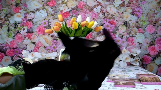 ТАРО ПРОГНОЗ ДЛЯ ♉ТЕЛЬЦОВ НА МАЙ- ЛЮБОВЬ...... смотреть онлайн