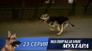 «Возвращение Мухтара»: «Скорость» (1 сезон. 23 серия)
