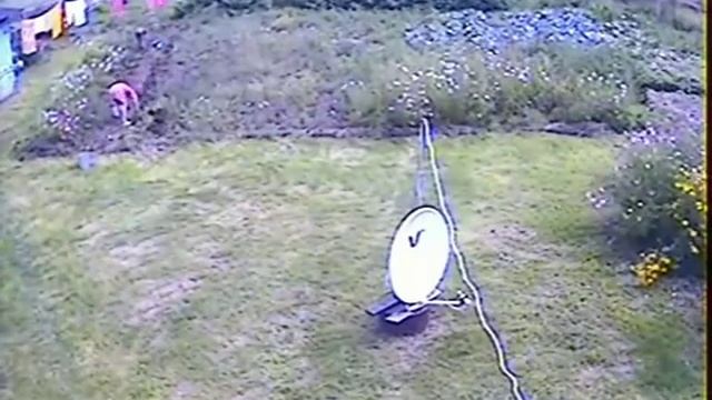 2015.09.05 Копаем картошку vol.1 смотреть онлайн