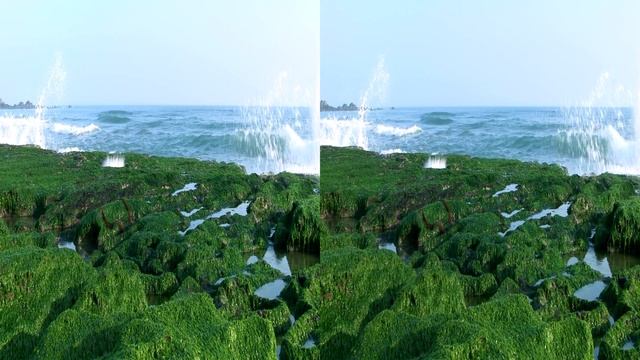 LG_3D_HD.Club.tw-LaomeiGreenReef(2012)(3D-halfSBS)