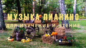 Фоновая музыка для чтения  | Повышение концентрации : Амбиентная музыка для работы и учебы