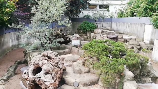 VLOG Поездка в Варшаву. Жизнь в Польше. Зоопарк в Варшаве. Польша, Poland, Warszawa. Европа.#Польша смотреть онлайн