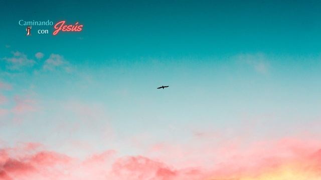 #19 Fortaleza para Ganar cada Batalla смотреть онлайн