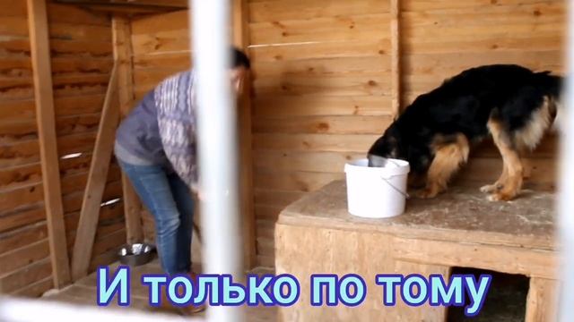 Что такое "День стольника" и почему мы его проводим? смотреть онлайн