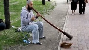 Музыкальный инструмент - Didgeridoo (диджериду).