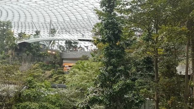 Сингапур. Водопад в аэропорту смотреть онлайн