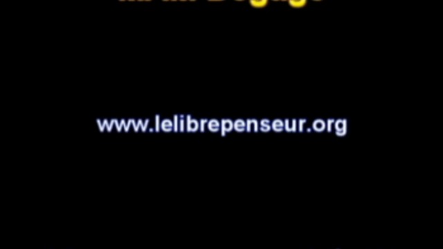 MAM Degage LLP 6 Fevrier 2011