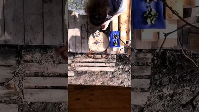 Мандала из камней и первых зеленых листочков для удачного начала дачного сезона) смотреть онлайн