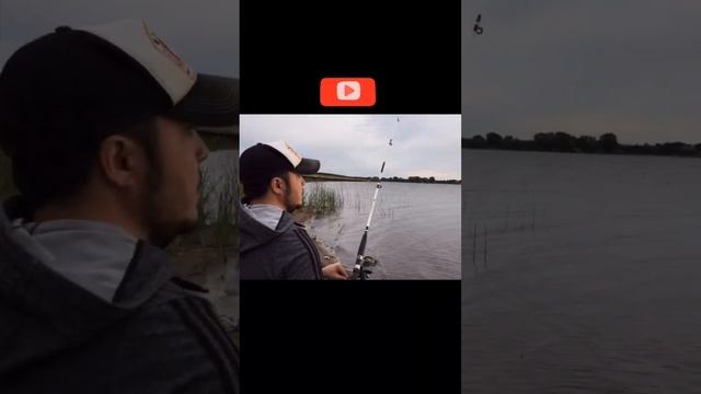 Счастья и Здоровья тому кто подпишется❤️#всех обнял#рыбалка#fishing#fish#shortvideo смотреть онлайн