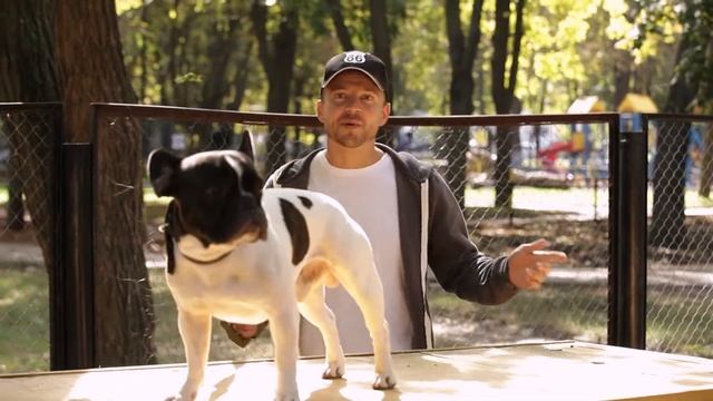 ЖК "Лузановский Парк". Площадка для выгула собак смотреть онлайн