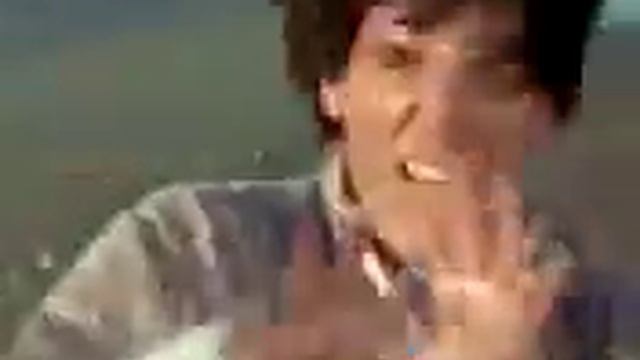 Бой корова против человека