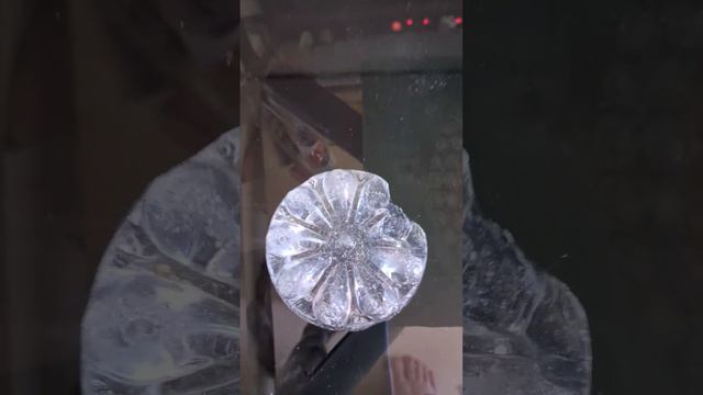 국화. смотреть онлайн