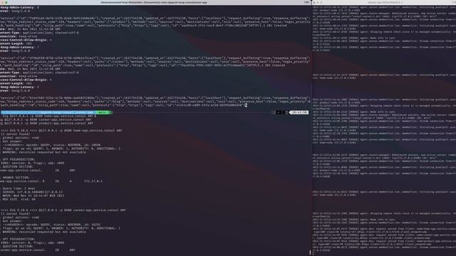 [GAPREK] Devops Engineer - Kong and Consul #2 смотреть онлайн