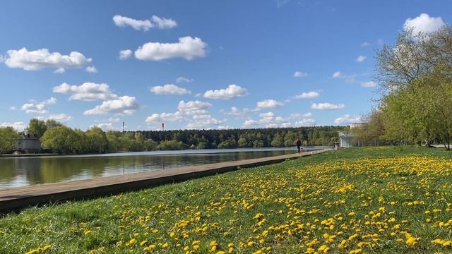 Vlog: Поездка в Сергиев Посад // Полевой суп // Распаковка Nintendo Switch