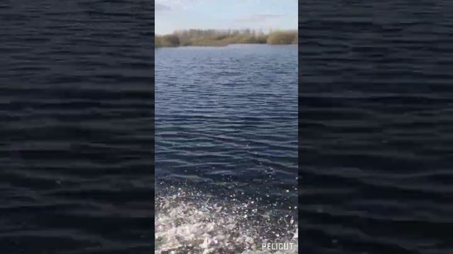 Красоту увидеть в некрасивом.Разглядеть в ручьях разливы рек! смотреть онлайн