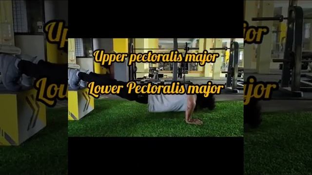 how to do pushups смотреть онлайн