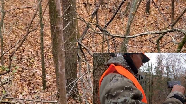 KY Archery Deer Hunting - Slick Trick Torch makes tracking easy, Mathews V3 31, TR Digital React Pr смотреть онлайн