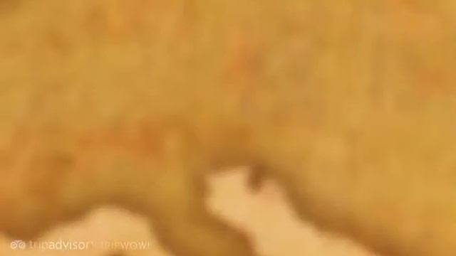 Eisriesenwelt - Werfenweng, Salzburg, Austrian Alps, Austria смотреть онлайн