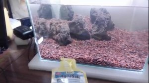 Запуск аквариума c лавовой крошкой кубик 27 литров
