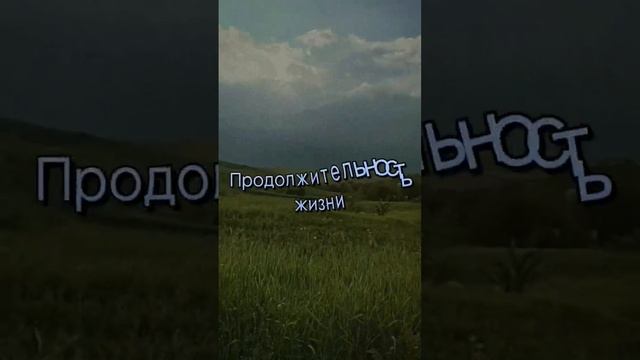 НЕМЕЦКАЯ ОВЧАРКА ПРОТИВ МАЛИНУА (Бельгийская овчарка)??#рекомендации #2023 #породысобак ?♥️? смотреть онлайн