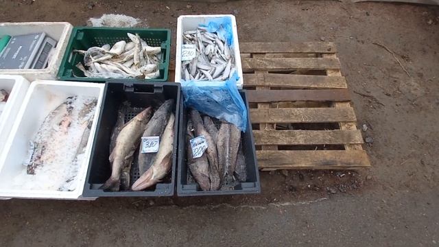 Карелия.Сортавала.Рыба. смотреть онлайн