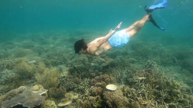 EXPERIENCIA INCREÍBLE en FLORES ?? KOMODO BOAT TRIP DAY #1 ⛵️ смотреть онлайн