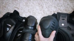 Сравнение китайской и польской моточерепах