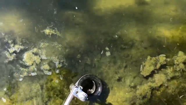 Путь к огурцам лежит через голубику и клапан... смотреть онлайн