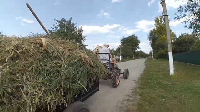 Вывоз сорняков. Самодельный минитрактор Зид 4,5. Homemade Minitractor