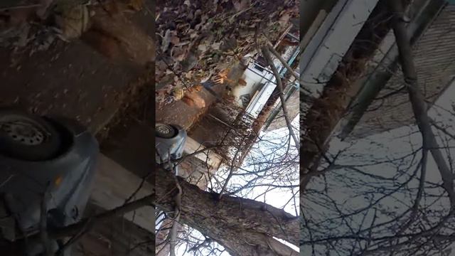 28 ноября 2020 г. смотреть онлайн