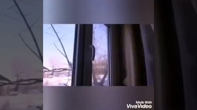 Соблюдайте безопасность при эксплуатации печей! смотреть онлайн