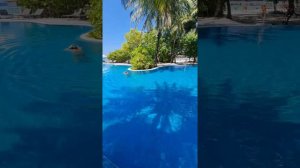 Мальдивы, Robinson Club Maldives, подробно обо всем