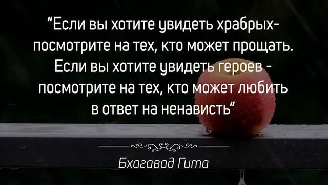 🔴СИЛЬНЫЕ СЛОВА! Цитаты из Жизни! смотреть онлайн