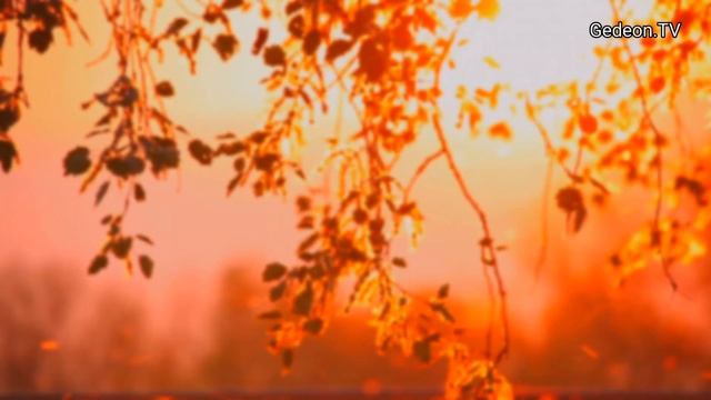 Иисус Христос говорит о спасении и о небесном царстве. смотреть онлайн