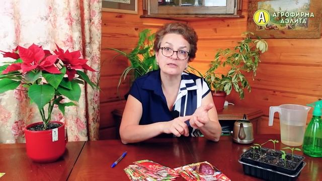 СУПЕР ПЕРЦЫ от Агрофирмы Аэлита! Обзор РАННИХ СОРТОВ, которые НЕ ПОЗДНО ПОСЕЯТЬ СЕЙЧАС! смотреть онлайн