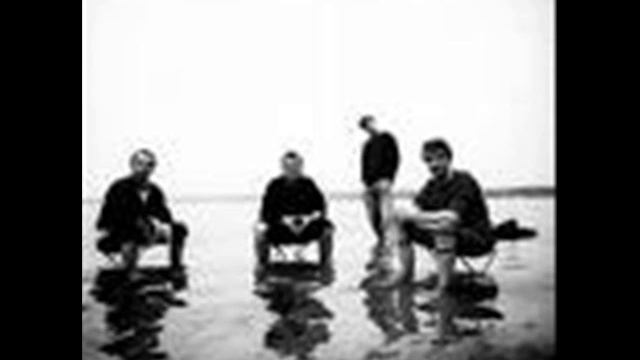 Akkordeon - Element Of Crime