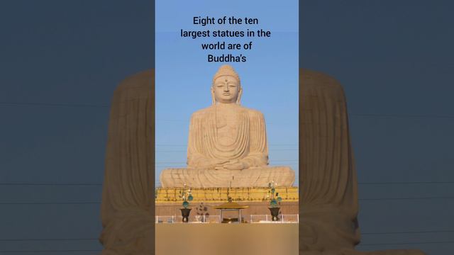 Interesting facts about #antqueens #antslifespan #magpie #largestbudda #buddastatue #smartestbird смотреть онлайн