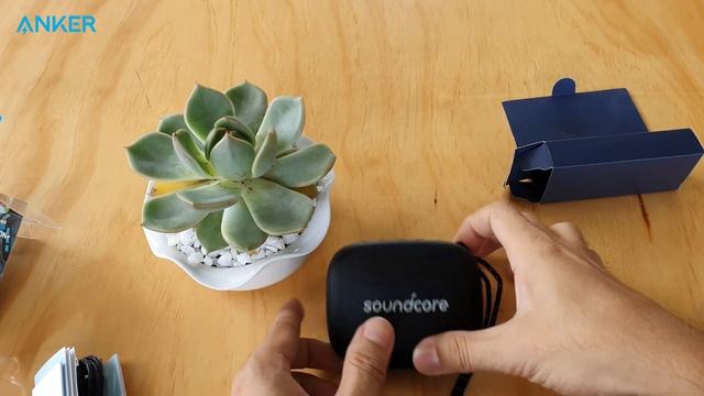 Loa bluetooth SoundCore Icon mini 3W (by ANKER) - A3121 смотреть онлайн